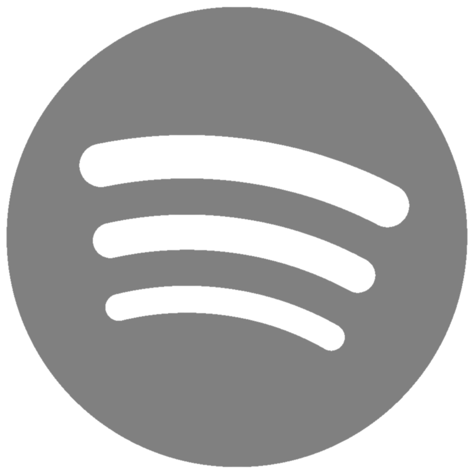 spotify_icon
